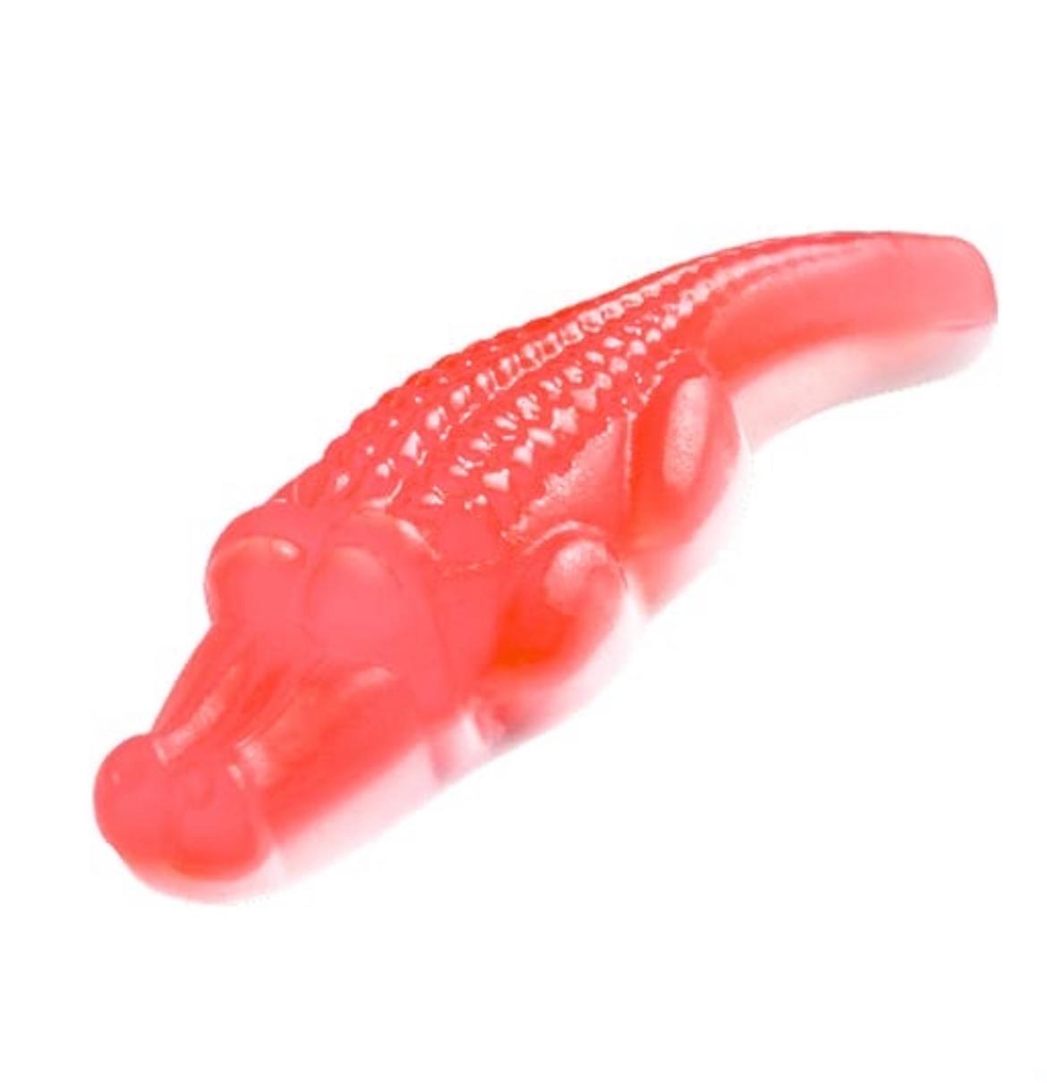 Cocodrilo Gigante de Chuche (Unidad) - LA TIENDA DE CHUCHES